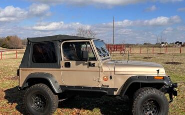 Jeep-Wrangler-sahara-edition-1994-1