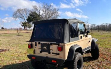 Jeep-Wrangler-sahara-edition-1994-3