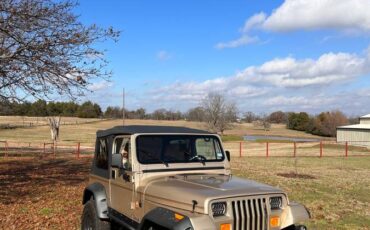 Jeep-Wrangler-sahara-edition-1994