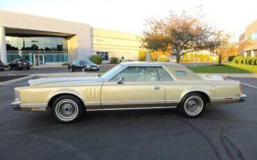 Lincoln-Mark-Series-Coupe-1979-12