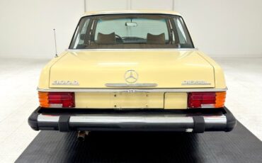 Mercedes-Benz-300-Series-1975-3