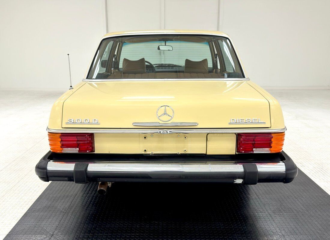 Mercedes-Benz-300-Series-1975-3