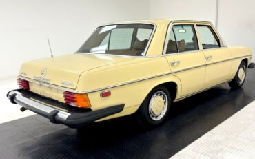 Mercedes-Benz-300-Series-1975-4