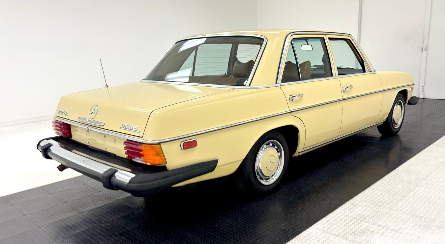 Mercedes-Benz-300-Series-1975-4