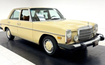 Mercedes-Benz-300-Series-1975-6