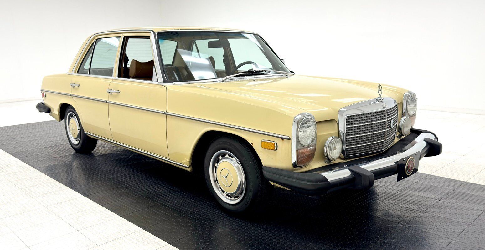 Mercedes-Benz-300-Series-1975-6