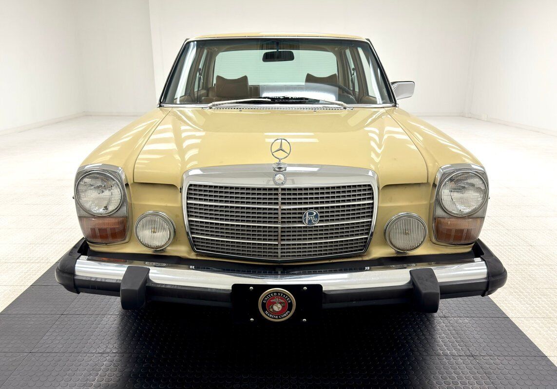 Mercedes-Benz-300-Series-1975-7