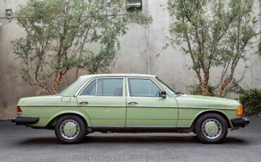 Mercedes-Benz-300-Series-1977-3