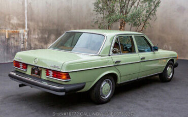 Mercedes-Benz-300-Series-1977-4