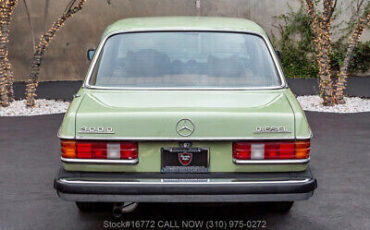 Mercedes-Benz-300-Series-1977-5