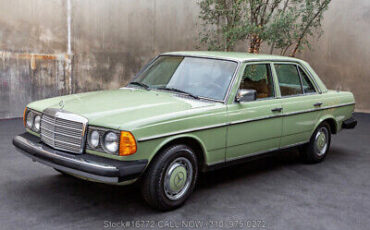 Mercedes-Benz-300-Series-1977-7