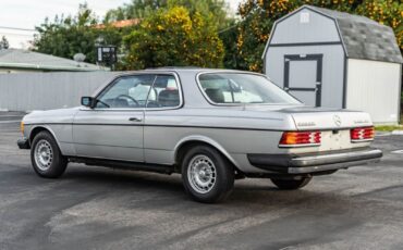 Mercedes-Benz-300-Series-Coupe-1982-10