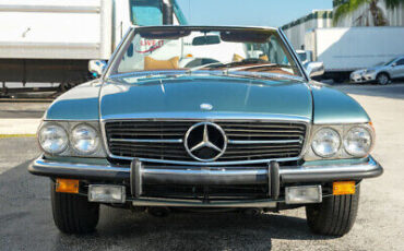 Mercedes-Benz-400-Series-1974-10