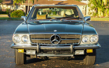 Mercedes-Benz-400-Series-1974-12