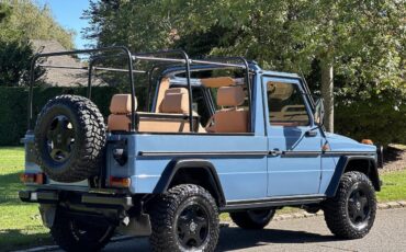 Mercedes-Benz-G-Class-Cabriolet-1990-16