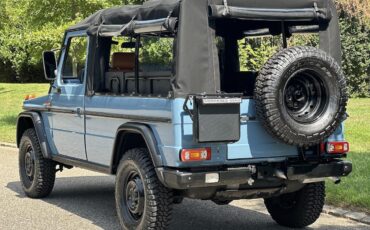 Mercedes-Benz-G-Class-Cabriolet-1993-29