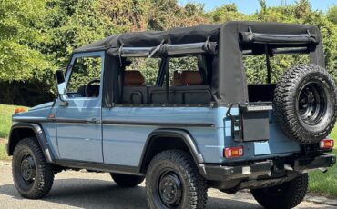 Mercedes-Benz-G-Class-Cabriolet-1993-30