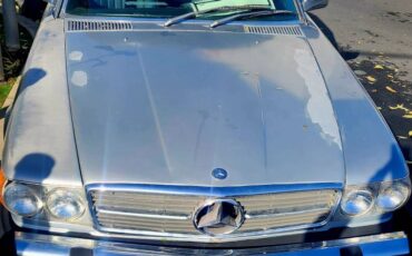 Mercedes-benz-Benz-450sl-1975-3