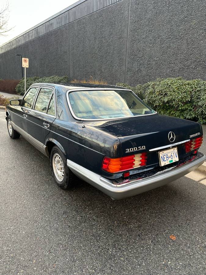 Mercedes-benz-Benz-diesel-1982-3