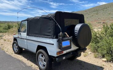 Mercedes-benz-Benz-g-wagon-1989-1