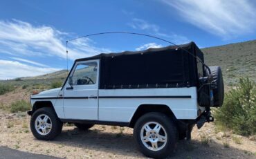 Mercedes-benz-Benz-g-wagon-1989-18