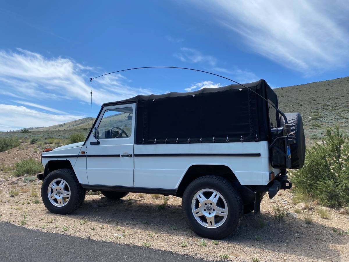 Mercedes-benz-Benz-g-wagon-1989-18