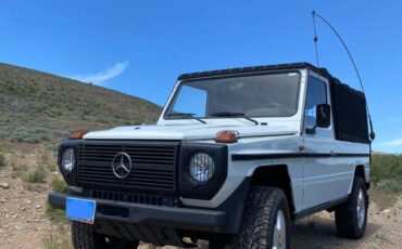 Mercedes-benz-Benz-g-wagon-1989-3