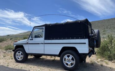 Mercedes-benz-Benz-g-wagon-1989-4