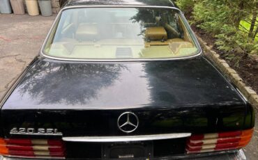 Mercedes-benz-benz-420-420sel-1990-5