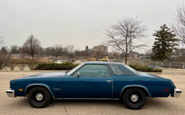 Oldsmobile-1976-3