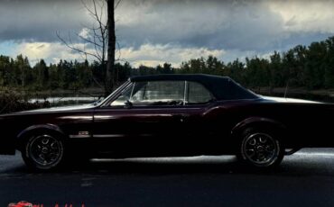 Oldsmobile-442-convertible-1967-2