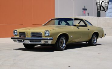 Oldsmobile-Cutlass-1974-2