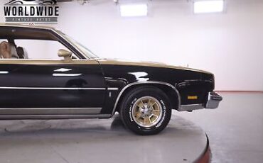 Oldsmobile-Cutlass-1979-7