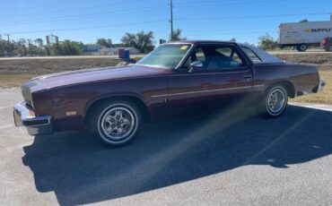 Oldsmobile-Cutlass-Coupe-1976-1