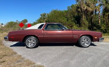 Oldsmobile-Cutlass-Coupe-1976-10