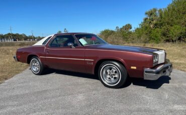 Oldsmobile-Cutlass-Coupe-1976-11