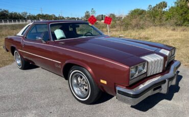 Oldsmobile-Cutlass-Coupe-1976-12