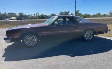 Oldsmobile-Cutlass-Coupe-1976-2