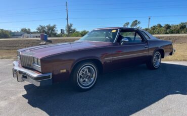 Oldsmobile-Cutlass-Coupe-1976-3