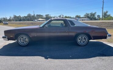 Oldsmobile-Cutlass-Coupe-1976-4