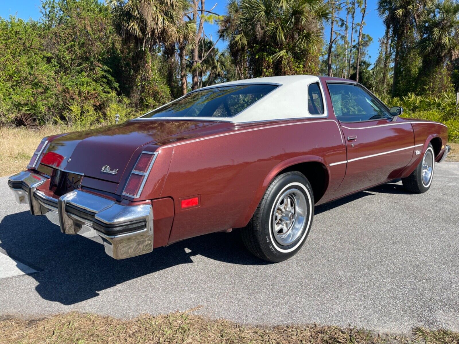 Oldsmobile-Cutlass-Coupe-1976-7