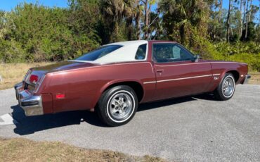 Oldsmobile-Cutlass-Coupe-1976-9