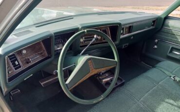 Oldsmobile-Delta-88-1973-14