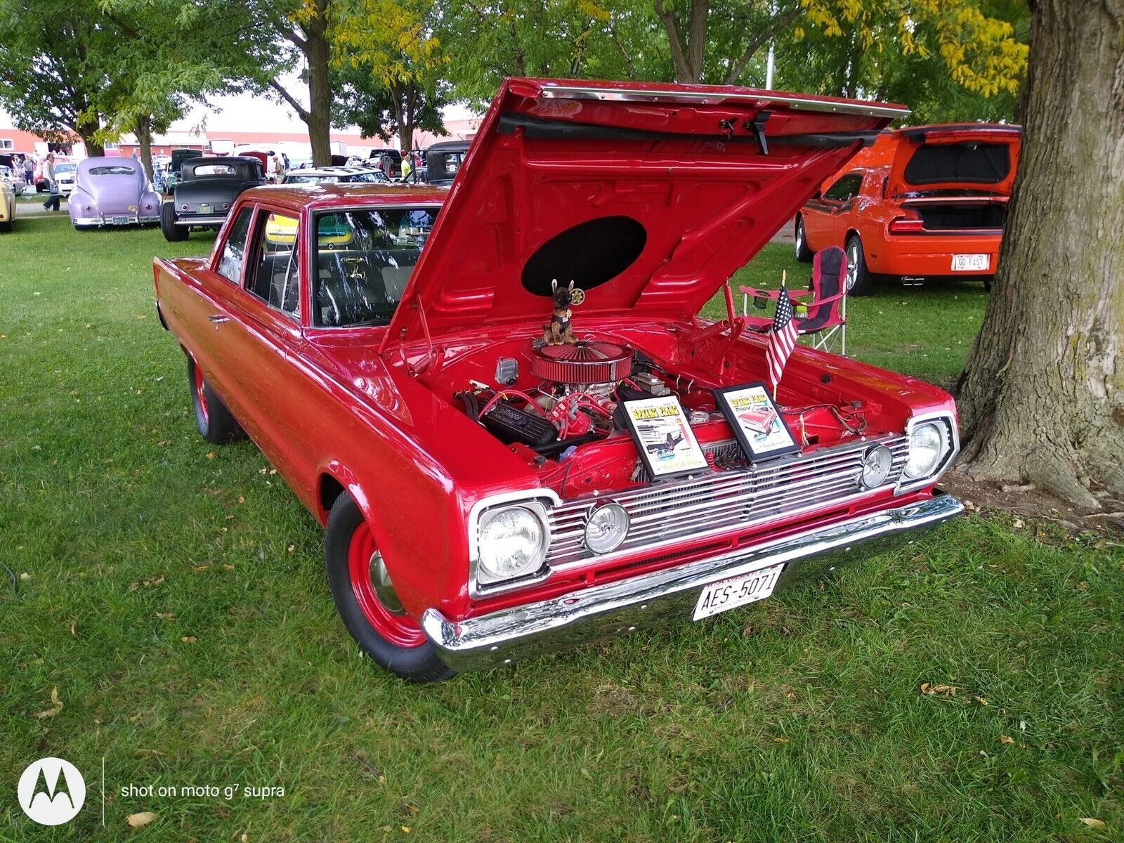 Plymouth Belvedere Coupe 1966 à vendre