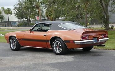 Pontiac-Firebird-1971-19