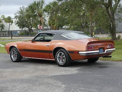 Pontiac-Firebird-1971-19