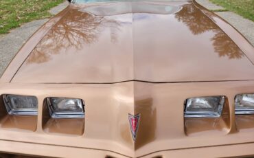 Pontiac-Firebird-1979-2