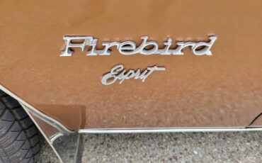 Pontiac-Firebird-1979-5