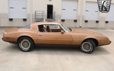 Pontiac-Firebird-1979-5