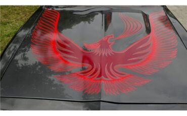 Pontiac-Firebird-1981-21